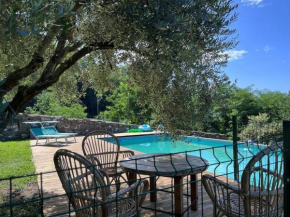 Podere il Giardino - Casa vacanza in casale tipico toscano, con parco e piscina - Lucca, Loppeglia